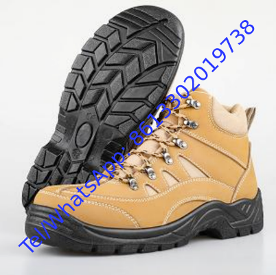 PVC Sole Safety Shoes Injection Workmanship Designed for Long Lasting Wear and Maximum Protection in Hazardous Workplaces